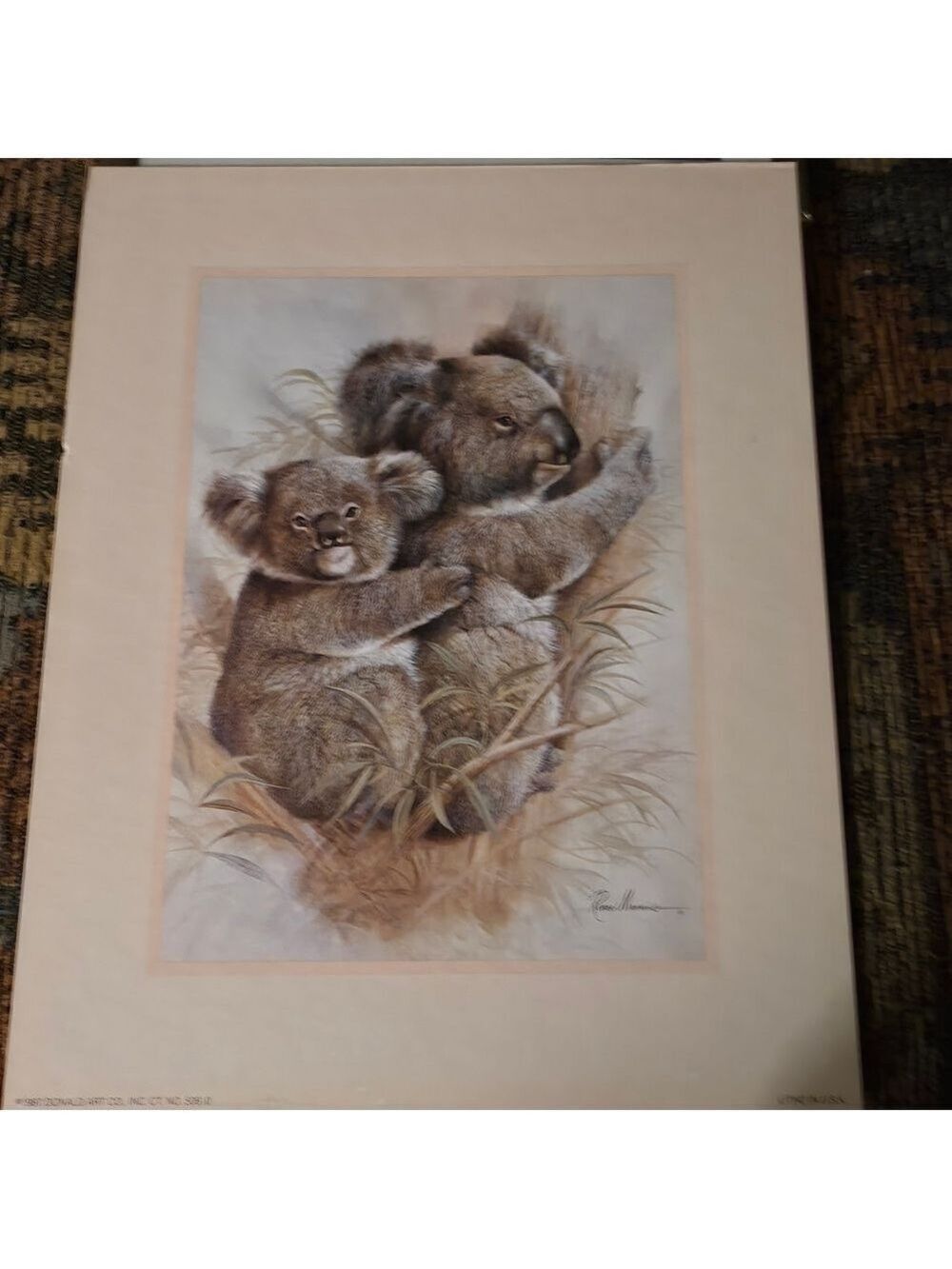 4/$67 Deal! Vintage Koala Set Of Prints- 80's art Prints Of Koala And Baby